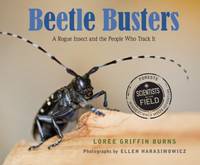 Beetle Busters : A Rogue Insect and the People Who Track It