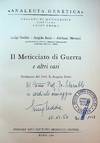 Il Meticciato di Guerra e altri casi [Miscegenation in War and Other Cases]