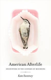 American Afterlife : Encounters in the Customs of Mourning