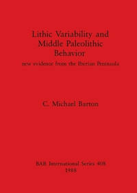 Lithic Variability and Middle Palaeolithic Behaviour: New Evidence from the Iberian Peninsula