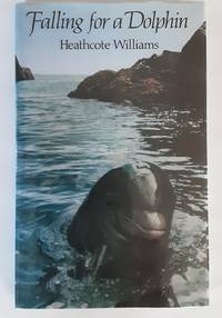 image of Falling for a Dolphin