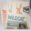 View Image 2 of 2 for Wildcat  Inventory #244251