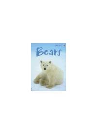 Bears (Beginners Nature - New Format)