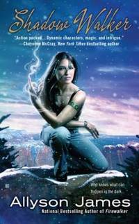 Shadow Walker (Stormwalker, Book 3)