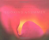 image of Looking for the Summer: A 94-Day Journey