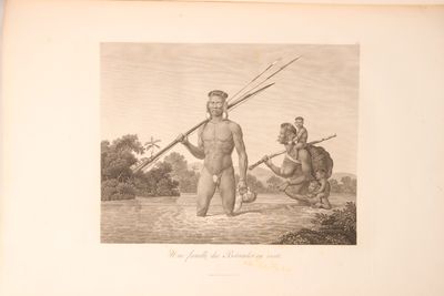 Voyage au Brésil, Dans les années 1815, 1816 et…