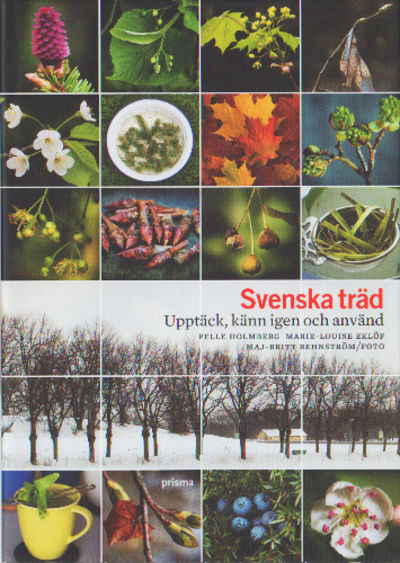 SVENSKA TRÄD. Upptäck, känn igen och använd.