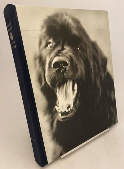 Gentle Giants. A Book of Newfoundlands.