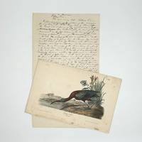 [Autograph manuscript, his description of the Glossy Ibis for publication in his Ornithological Biography, the text for the elephant folio first edition of Birds of America]