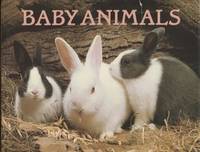 Baby Animals/09402