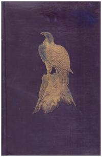 image of OUR RARER BIRDS.