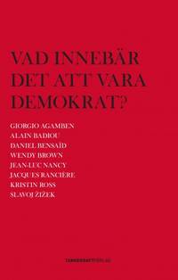 Vad innebär det att vara demokrat?
