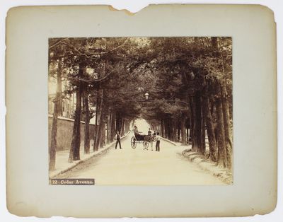 [Group of Eighteen Large Albumen Views of Bermuda by Noted Local Photographer, N.E. Lusher]