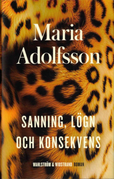 SANNING, LÖGN OCH KONSEKVENS.