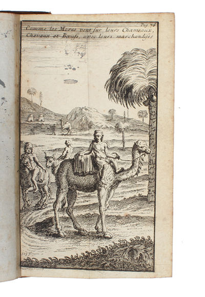 Les Voyages du Sieur Le Maire aux Iles Canaries Cap-Verd, Senegal, et Gambie. Sous Monsieur Dancourt,... (photo 3)