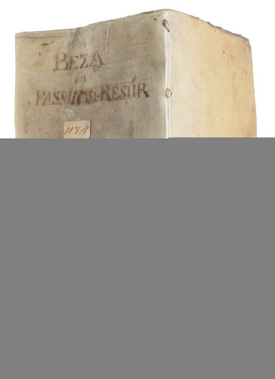 In historiam Passionis et sepulturae Domini…