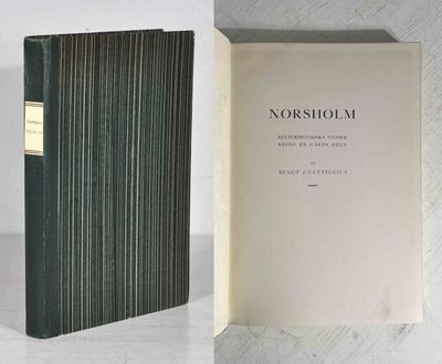 Norsholm. Kulturhistoriska studier kring en gårds…