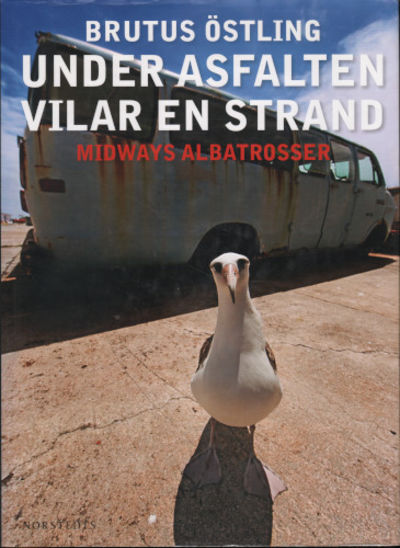 UNDER ASFALTEN VILAR EN STRAND.