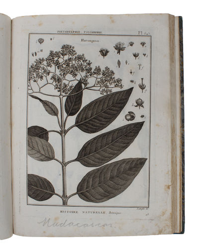 Planches de Botanique. Septieme Partie. (photo 3)