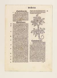 HORTUS SANITATIS