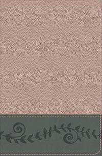 KJV Study Bible for Girls Pink Pearl/Gray, Vine Design LeatherTouch by Larry Richards