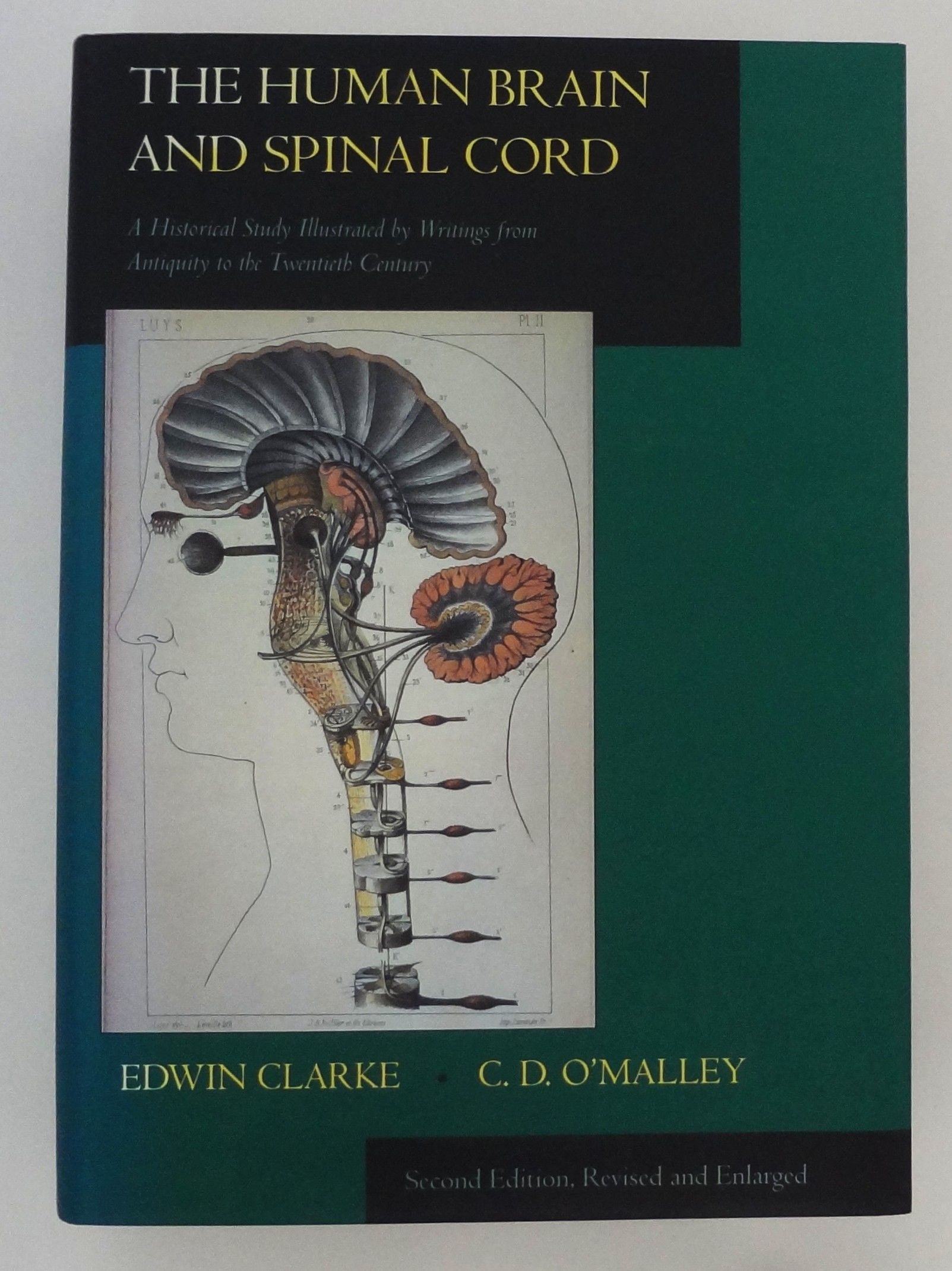 The Human Brain and Spinal Cord