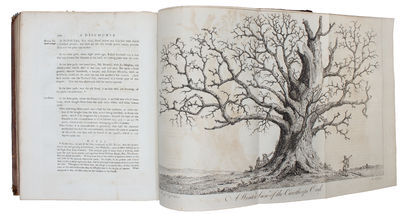 Silva or, a discourse of forest-trees, and the propagation of timber in his Majesty's dominions: As It Was Delivered in the Royal Society on the 15th Day of October, 1662. Upon Occasion of certain queries propounded to that Illustrious Assembly, by th... - [SHAPING THE LANDSCAPE] (photo 2)