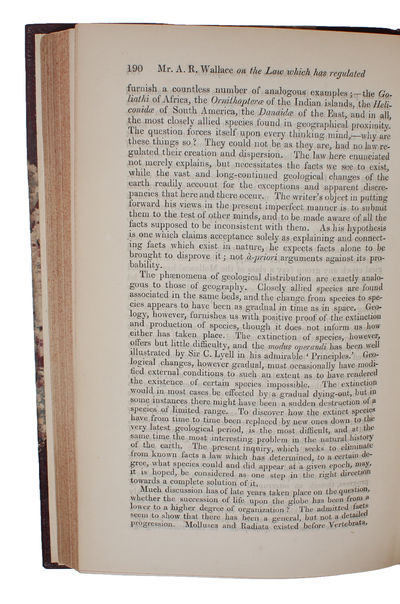 On the Law which has Regulated the Introduction of New Species. [In: The Annals and Magazine of Natural History. Second Series, Volume 16]. - [INAUGURATING THE DISCOVERY OF THE ORIGIN OF SPECIES] (photo 15)