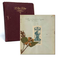 An heiress grows into womanhood in a changing world, documenting five years of her life in the US and Europe