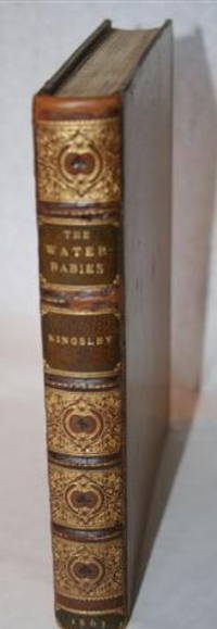 image of The Water Babies - A Fairy Tale for a Land-Baby