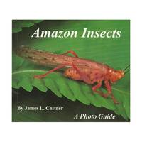 Amazon Insects: A Photo Guide