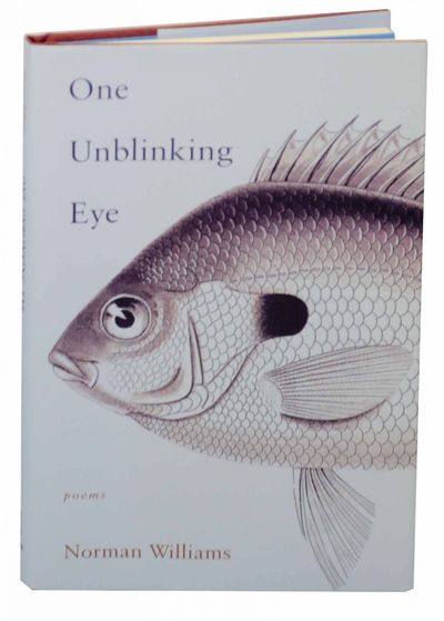 One Unblinking Eye