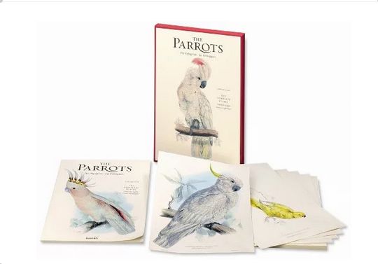 THE PARROTS. - The complete Plates in folio format. 20̈ ẍ 1.5ẍ