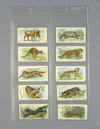 W. D. & H. O Wills Cigarette Cards - Animals Of The World - 