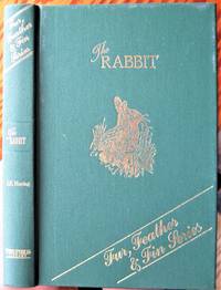image of The Rabbit