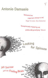 Looking for Spinoza