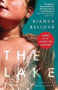 The Lake (EBRD award winner)