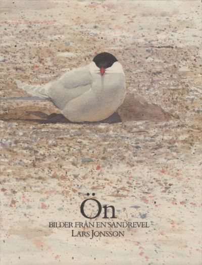 ÖN. Bilder från en sandrevel.