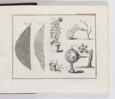 La Physique des Arbres; où il est traitè de l’Anatomie des Plantes et de l’Économie Végétale: pour servir d’Introduction au Traité complet des Bois & des Forests…