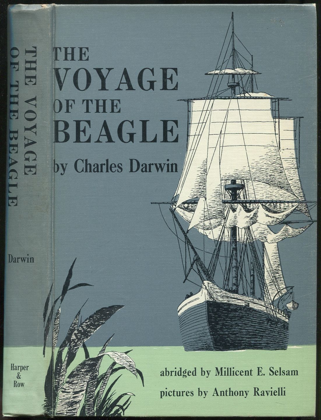 The Voyage of the Beagle by DARWIN, Charles | Hardcover