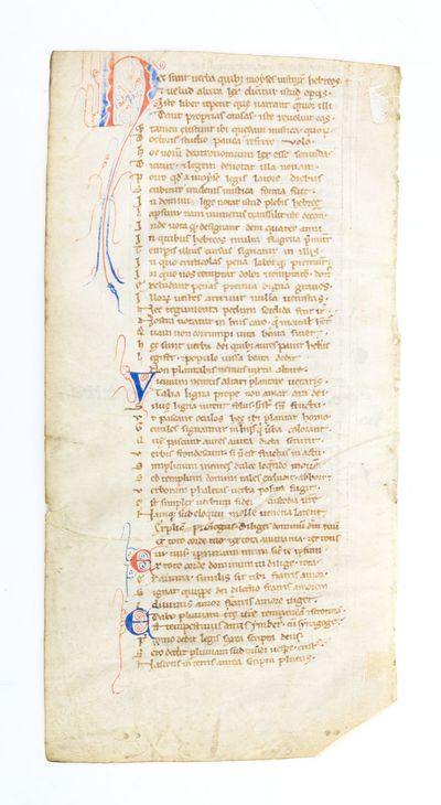 TEXT FROM THE END OF THE COMMENTARY ON NUMBERS AND THE OPENING OF THE PROLOGUE FOR THE COMMENTARY ON DEUTERONOMY