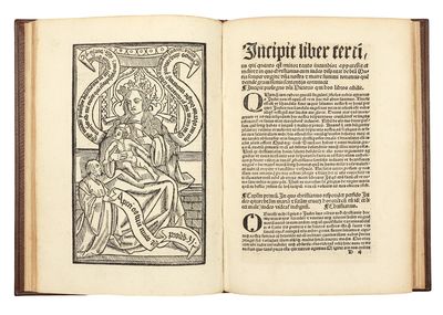 Opus aureum ac novum, et a doctis...; (photo 4)