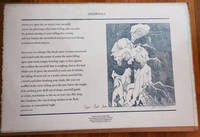 cover of Snowfall (Poetry Broadside Signed by Both Poet and Artist)