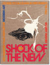 The Shock Of the New