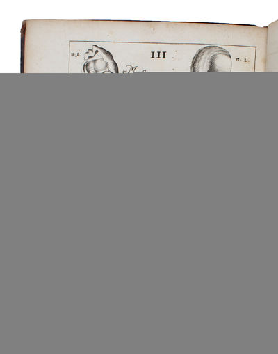 Acta Medica & Philosophica Hafniensia. Ann. 1671&1672; 1673; 1674.1675.1676.; 1677.1678. 1679. Cum aeneis figuris/Figuris aeneis illustrata. 5 vols (all).  - [BARTHOLIN'S GROUNDBREAKING MEDICAL JOURNAL] (photo 2)