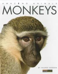 Monkeys