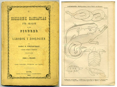 Zoologisk handatlas för skolor eller figurer till…