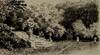View Image 7 of 8 for  Aspects du Vieux Paris Inventory #6584
