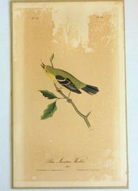 image of The Birds of America
