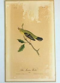 The Birds of America by John James Audubon - 1840-1844